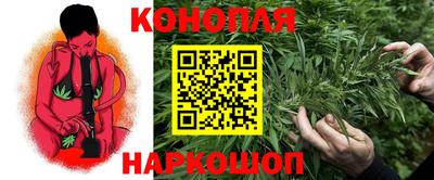 сатива Берёзовский