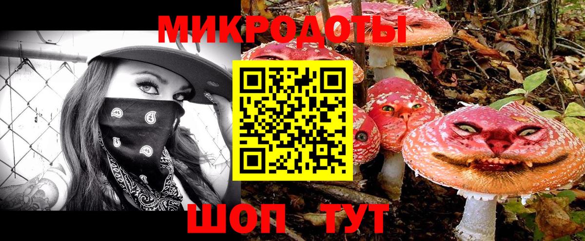 Псилоцибиновые грибы Psilocybine cubensis Гудермес