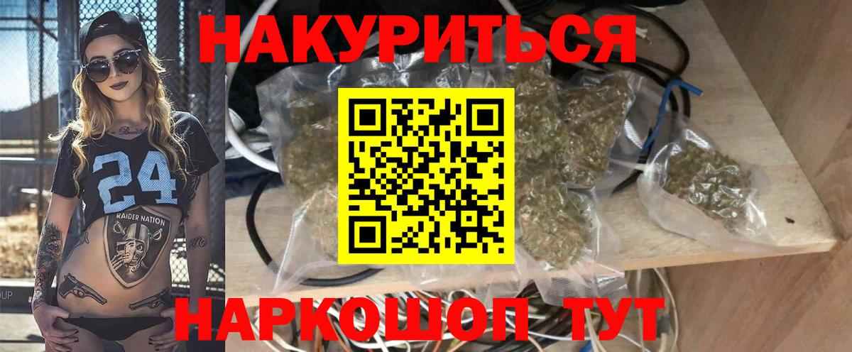 Гудермес  Бошки Шишки тримм  Марихуана сатива  Бошки Шишки AK-47  Вход с VPN 